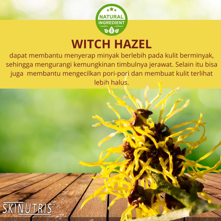 Witch Hazel
